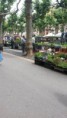 /album/olot/a20140616-122232-jpg/