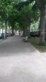 /album/olot/a20140616-123758-jpg/